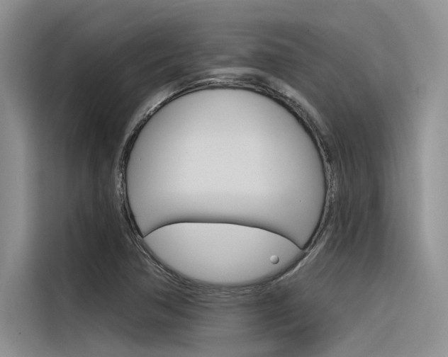 X0000116381362200912020937