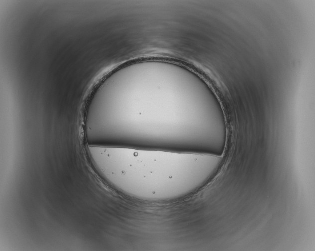 X0000116381363200912020937