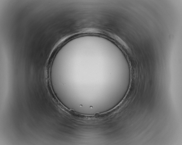 X0000116381364200912020937