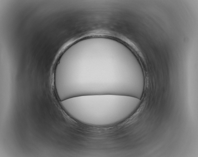 X0000116381366200912020937