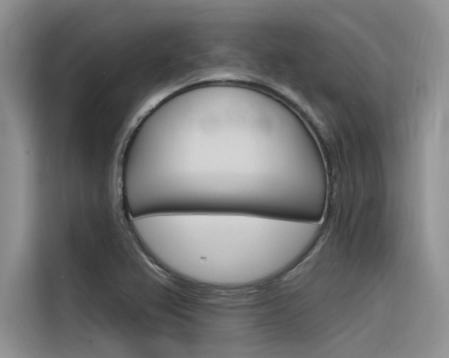 X0000116381367200912020937