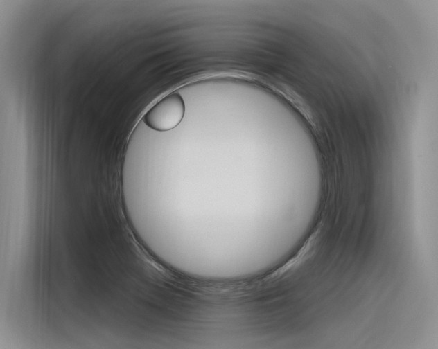 X0000116381369200912020937
