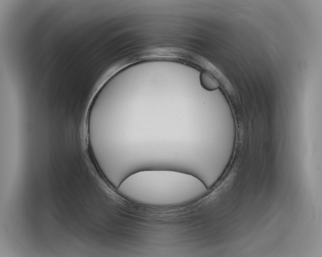 X0000116381370200912020937