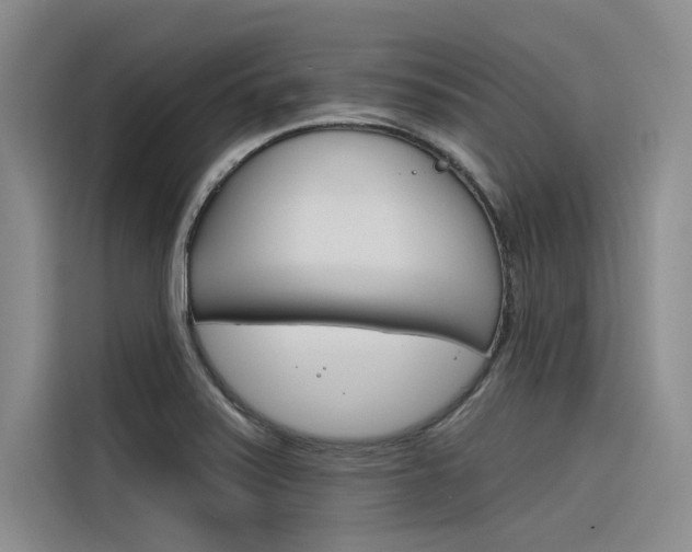 X0000116381371200912020937