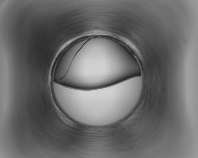 X0000116381372200912020937