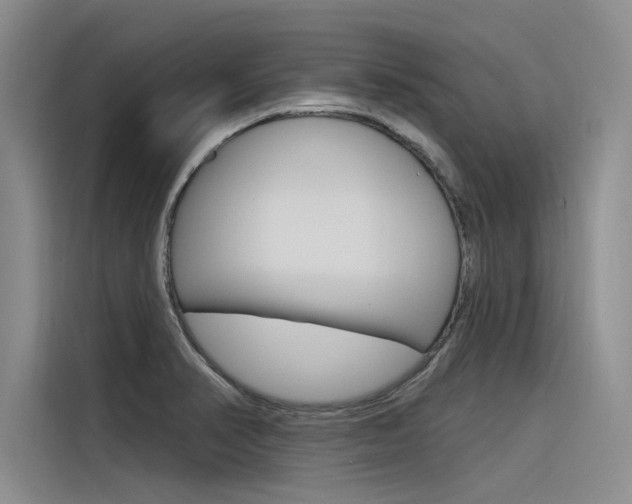 X0000116381374200912020937