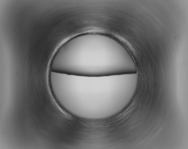 X0000116381375200912020937