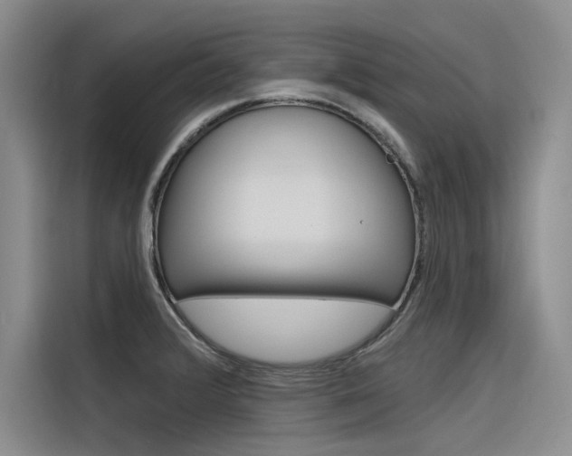 X0000116381376200912020937