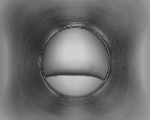 X0000116381377200912020937