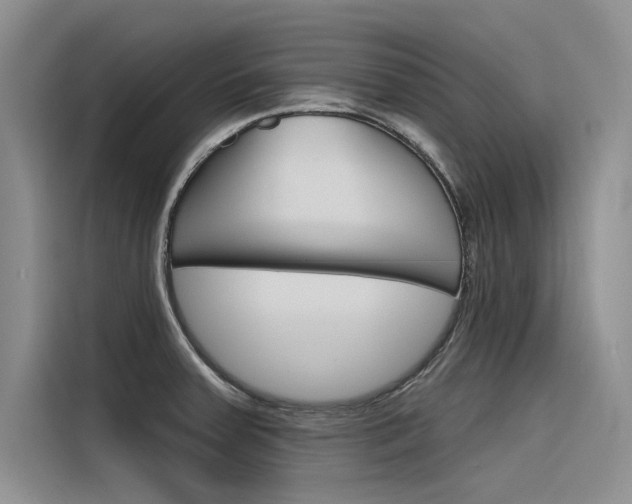 X0000116381379200912020937