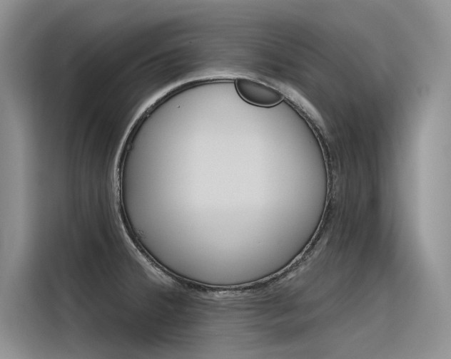 X0000116381380200912020937
