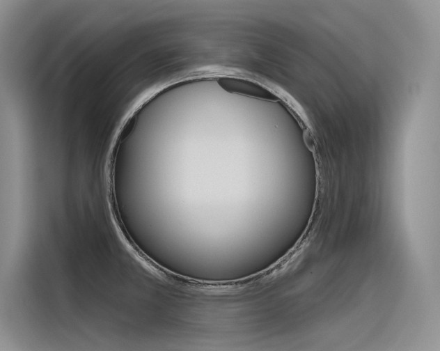 X0000116381381200912020937