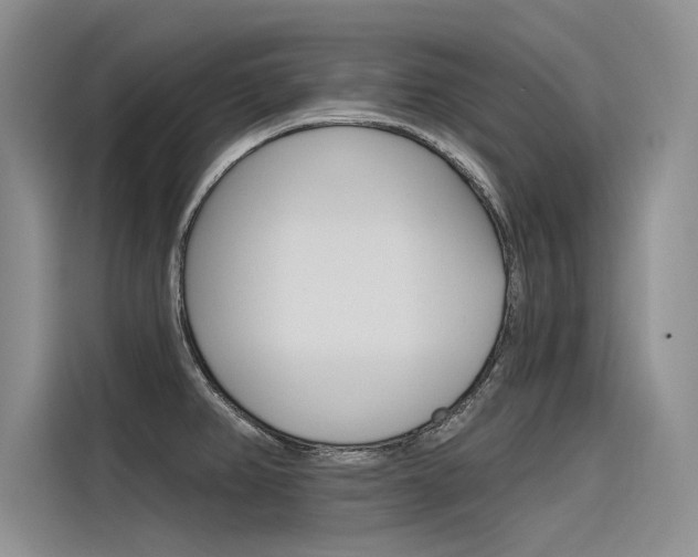 X0000116381382200912020937