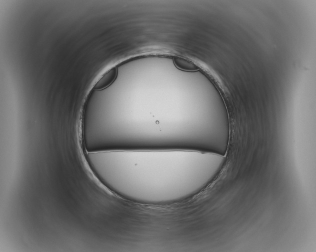 X0000116381383200912020937