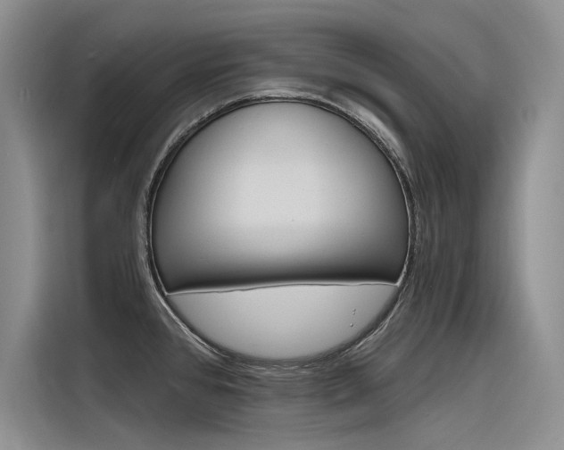 X0000116381384200912020937