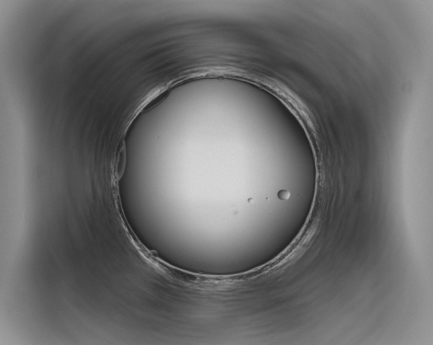 X0000116381385200912020937