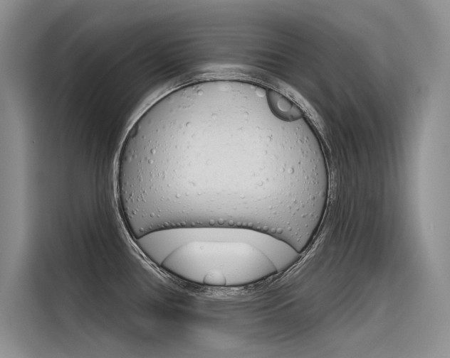 X0000116381386200912020937