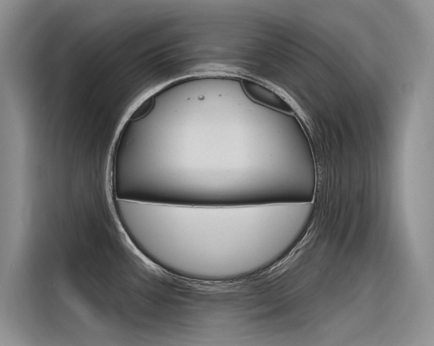 X0000116381387200912020937