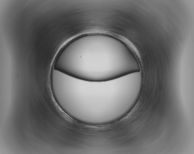 X0000116381388200912020937