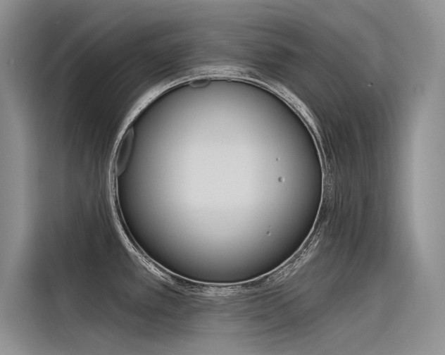 X0000116381389200912020937