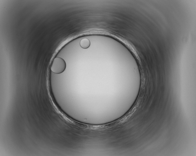 X0000116381390200912020937