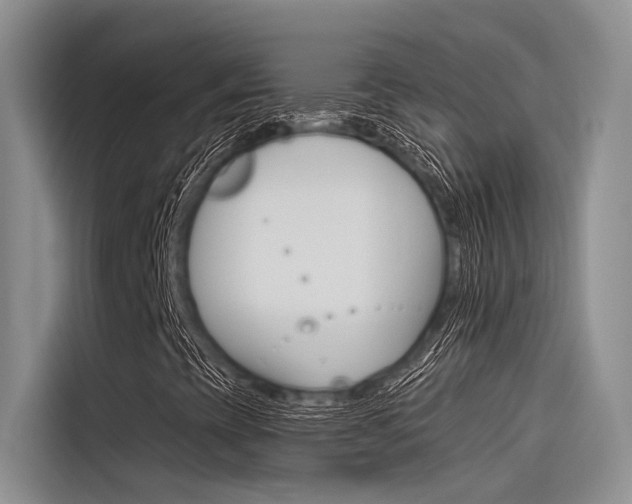 X0000116381393200912020936