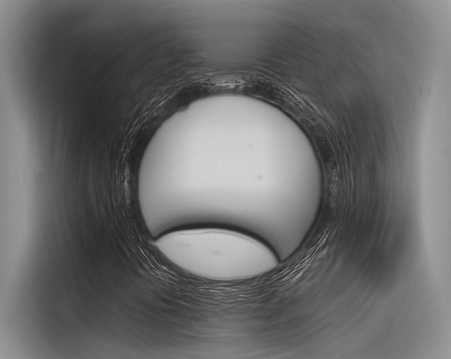 X0000116381394200912020936