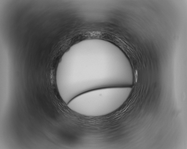 X0000116381395200912020936