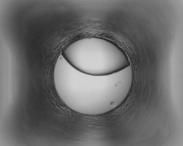 X0000116381397200912020936