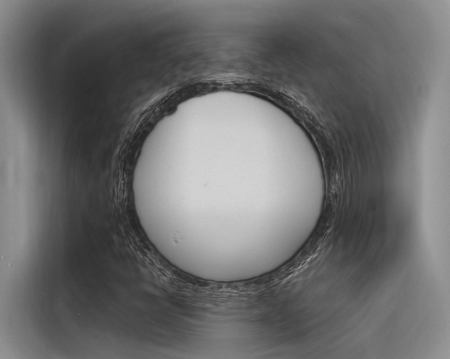 X0000116381398200912020936