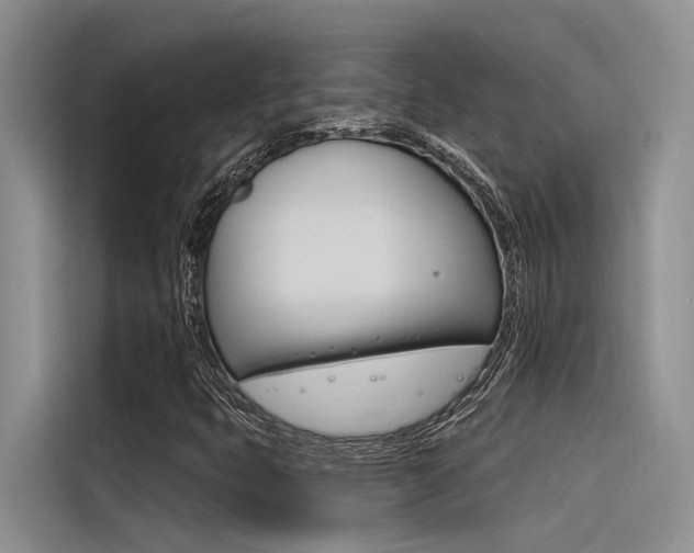 X0000116381399200912020936