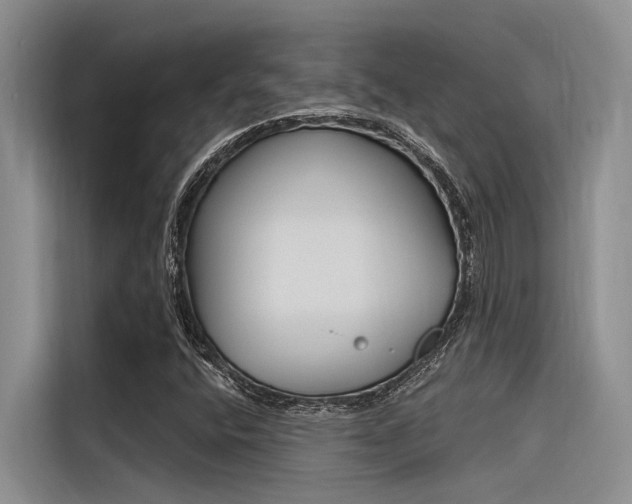 X0000116381400200912020936