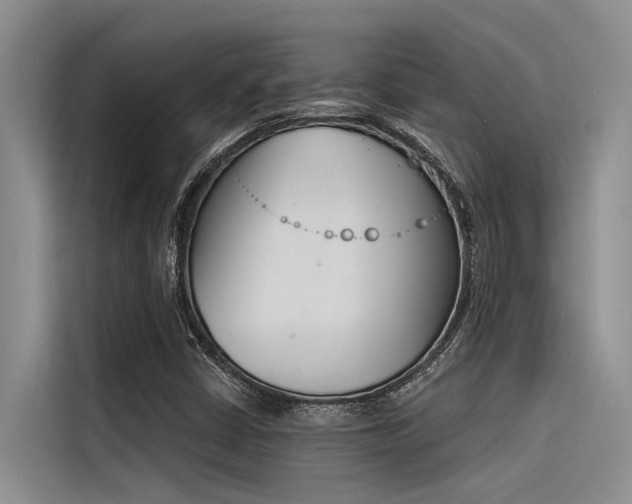 X0000116381402200912020936