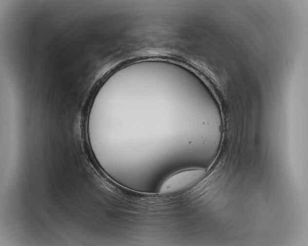 X0000116381404200912020936