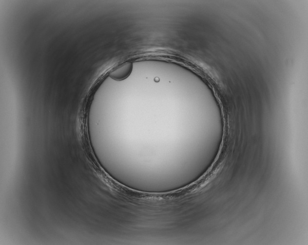 X0000116381405200912020936
