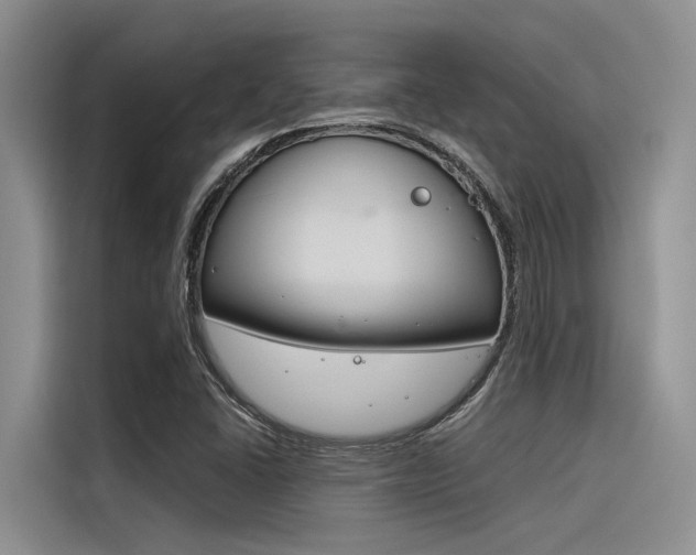 X0000116381406200912020936
