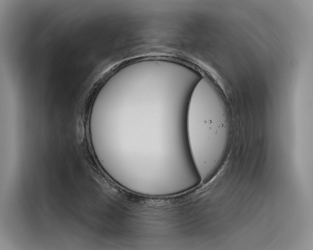 X0000116381407200912020936