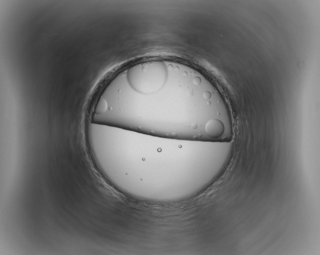 X0000116381408200912020936
