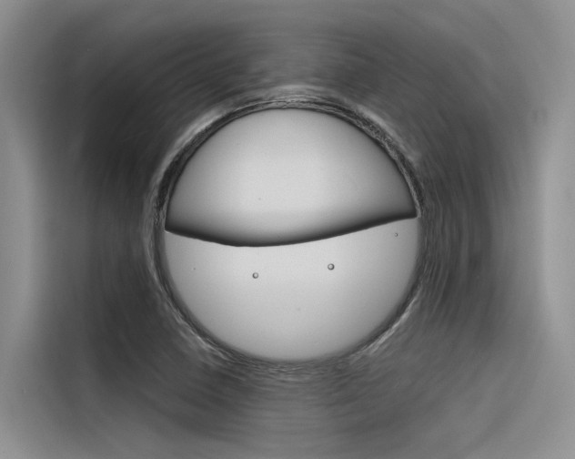 X0000116381410200912020936