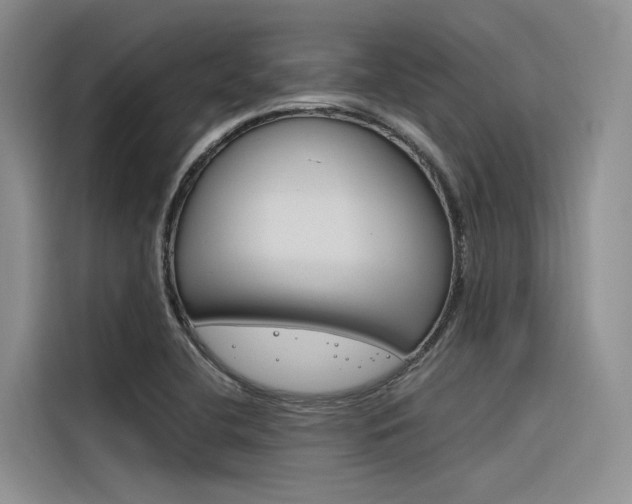 X0000116381412200912020936