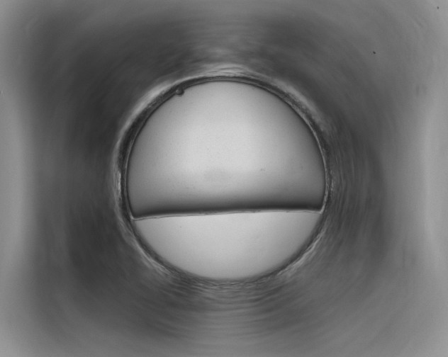X0000116381414200912020936