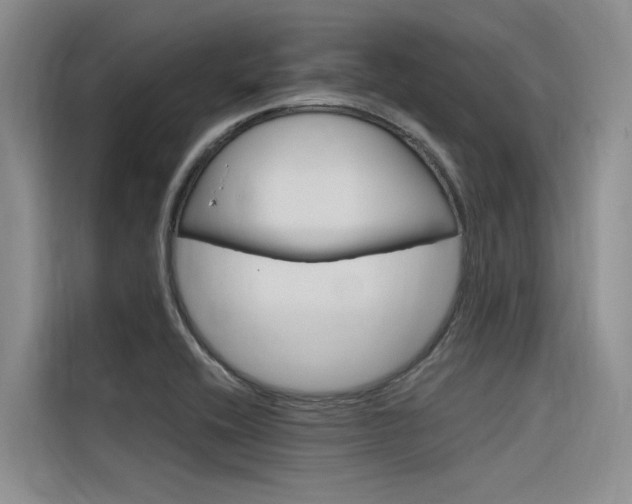 X0000116381416200912020936