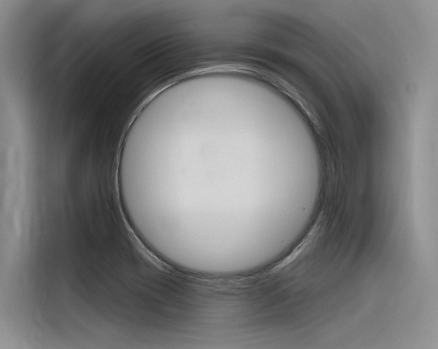 X0000116381417200912020936