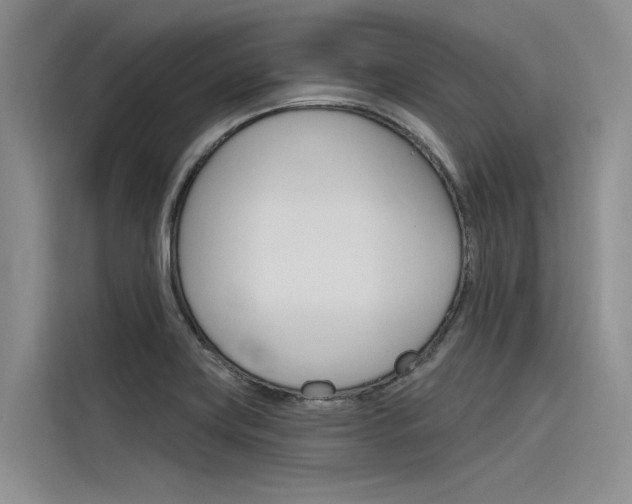 X0000116381419200912020936