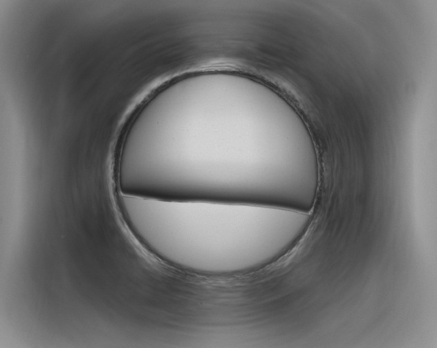 X0000116381422200912020936
