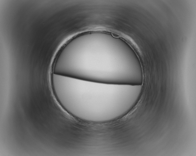 X0000116381424200912020936