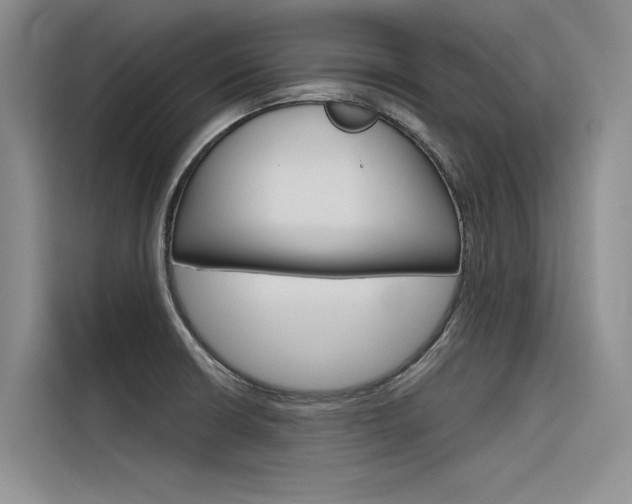 X0000116381426200912020936