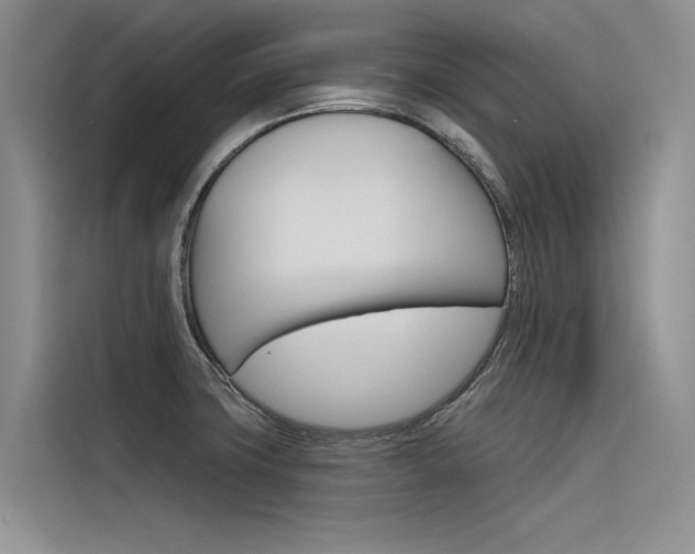 X0000116381427200912020937