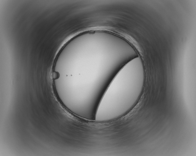 X0000116381428200912020937