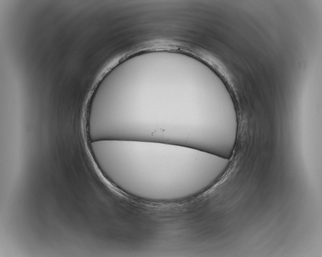 X0000116381429200912020937